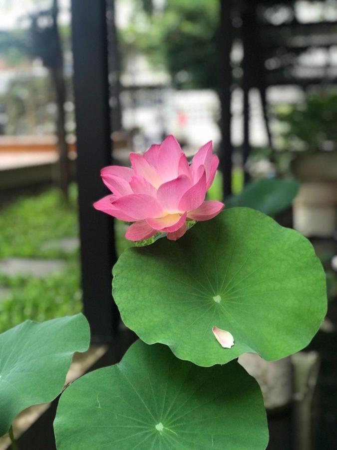 The Wishes Hotel At Chiangmai Chiang Mai Esterno foto